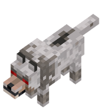 wolf